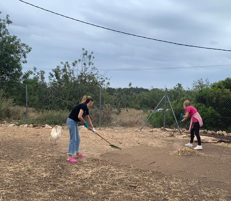 La Comissió per a la Defensa dels Drets dels Animals de l'ICAReus visita el Santuari MonLabassa